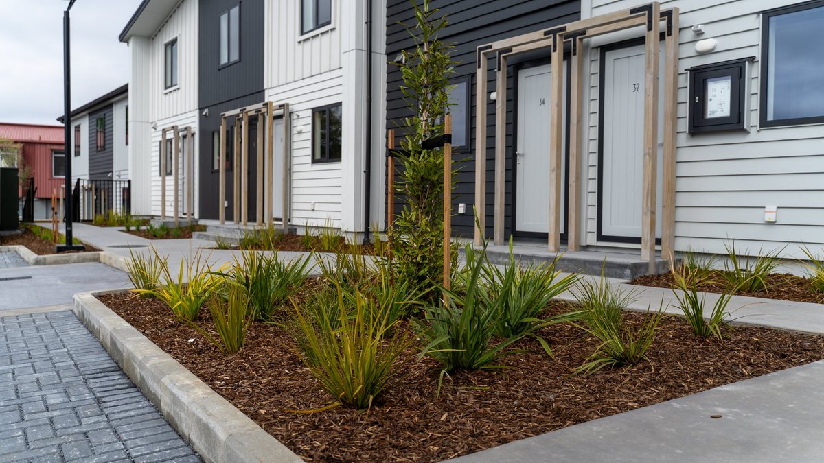 New planting bed and specimen tree at a housing development, Horahora