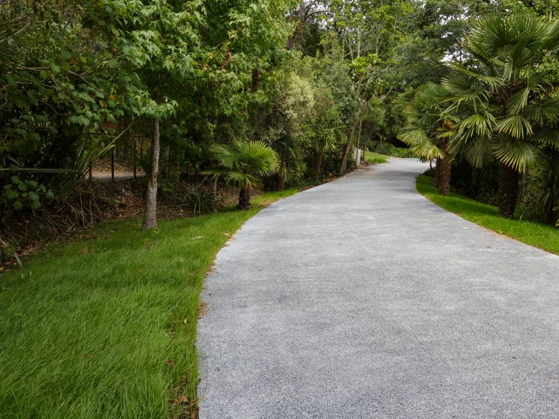 Concrete driveway curving through a lush garden