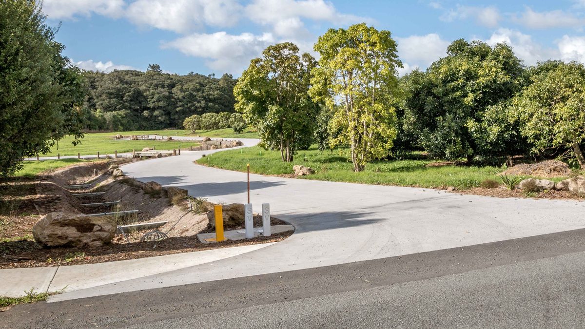 Concrete road entrance with a planted raingarden swale at Te Mara Estate
