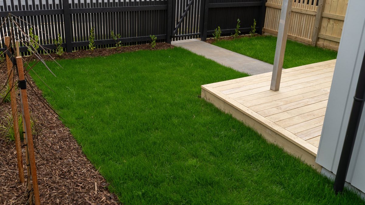 New instant lawn and garden planting beside a timber deck and picket fence