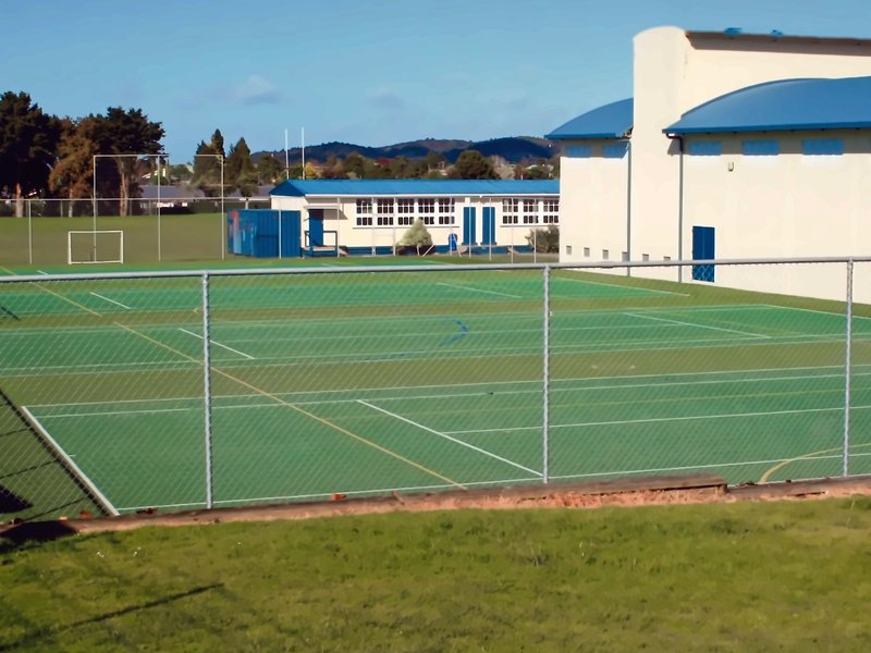 School hockey turf with multi-sport markings beside a gym